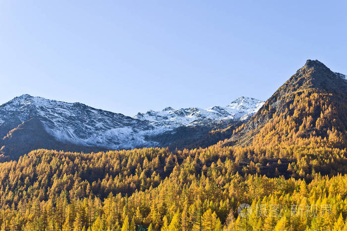 冰雪覆盖的山峰的秋色