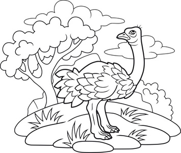 有趣的鸵鸟图片-有趣的鸵鸟素材-有趣的鸵鸟插画-摄图新视界