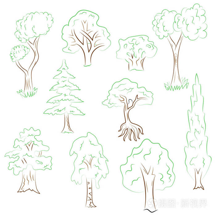 手绘的树集.涂鸦青翠的松树, 柏树, 桦木, 橡木中的素描样式的图纸