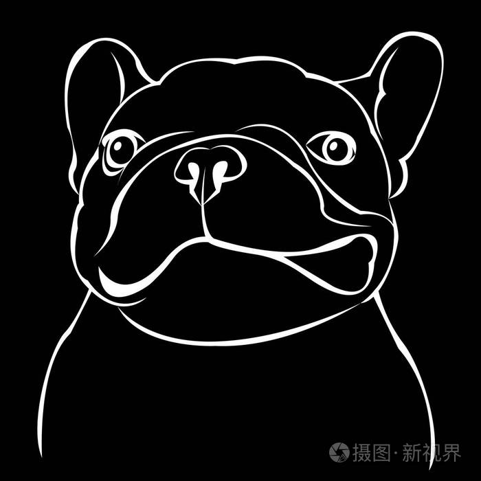 狗,矢量,品种,可爱,宠物,动物,斗牛犬,法国