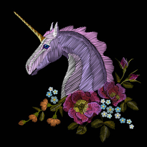 独角兽矢量传统民俗时尚装饰品上黑色背景照片