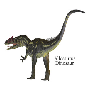 异特龙恐龙尾巴与字体图片