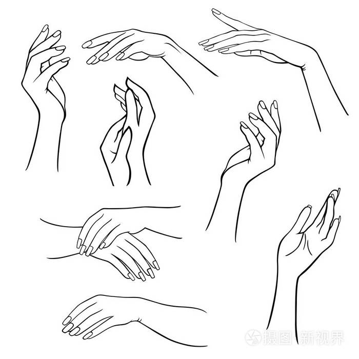 女人的手集