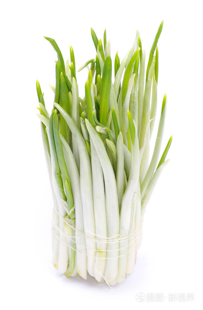 ramson群蔬菜