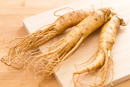 人参背景图片-人参背景素材-人参背景插画-摄图新视界