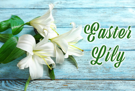 白色的花和文本复活节百合照片