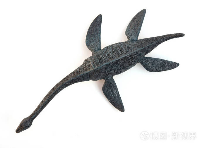 白色背景上的侧面视图 plesiosaurus照片-正版商用图片