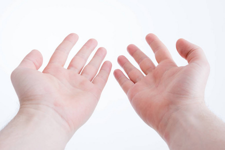 手掌放在种图片