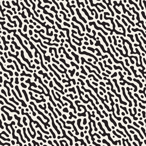 黑色和白色有机形状.抽象的背景说明照片