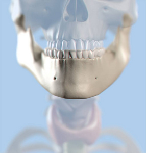 人类牙齿骨骼图图片