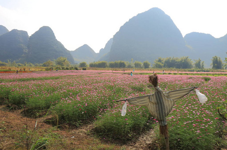 在阳朔中国岩溶山地花床景观图片