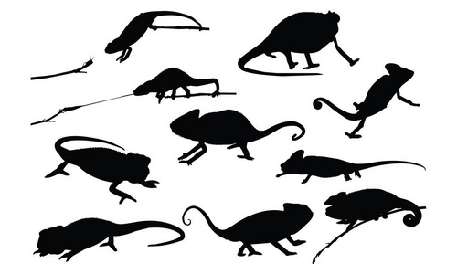 变色龙剪影图片