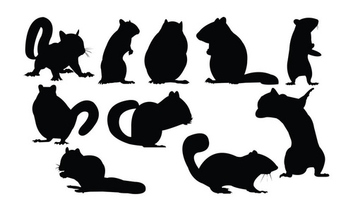 eutamias花栗鼠剪影矢量图照片