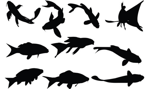 锦鲤剪影矢量图锦鲤鲤鱼纹身设计矢量图鲤鱼锦鲤矢量无缝模式金鱼背景