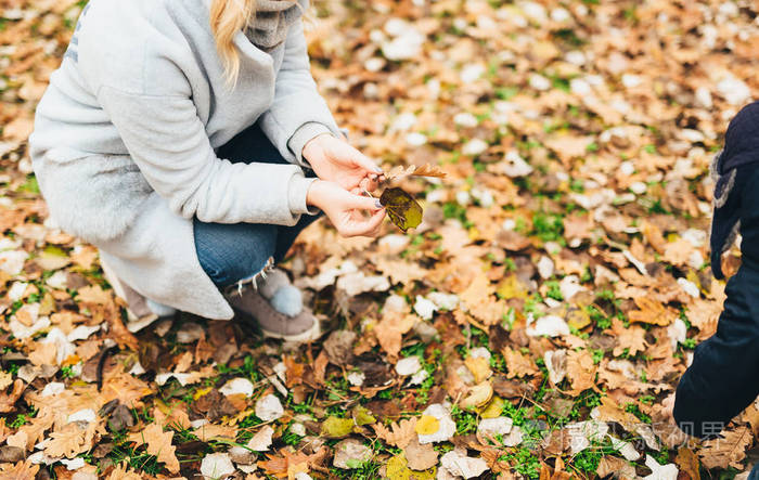 秋天的落叶在一个女孩的手中那个女孩正坐在上