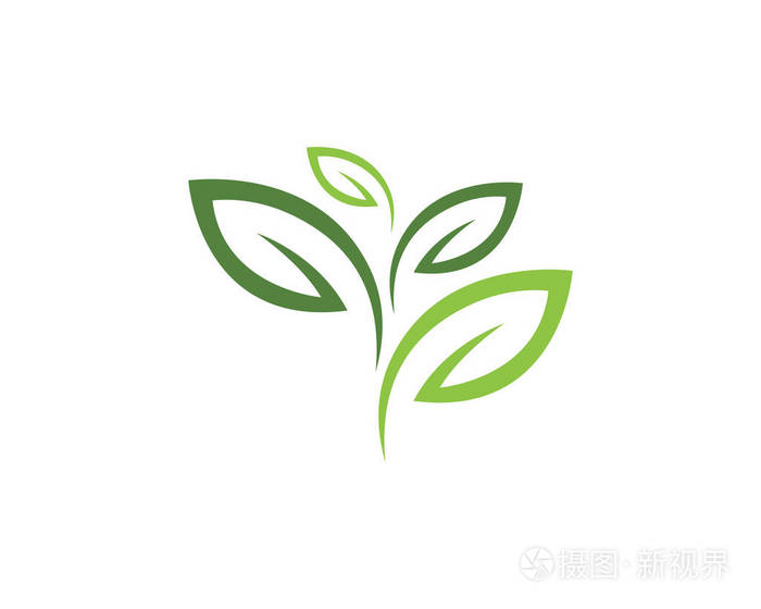 逻各斯的绿叶生态矢量图标