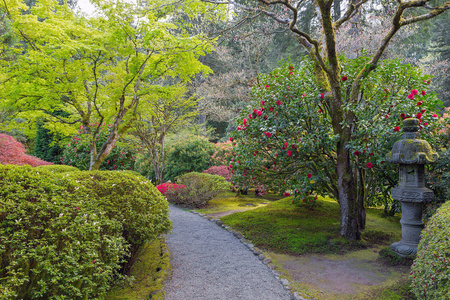 在日本花园路径图片