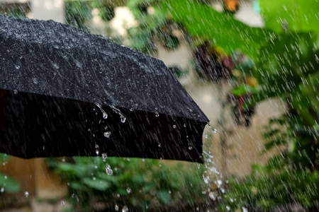 从一把黑色雨伞落下的雨滴图片