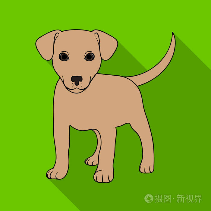 小狗拉布拉多.动物单中平面样式矢量符号股票图 web 图标