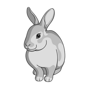 灰色兔子图标图片