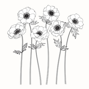 素描花海宇图片