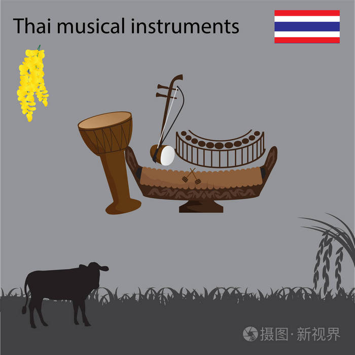 泰国民族乐器国花