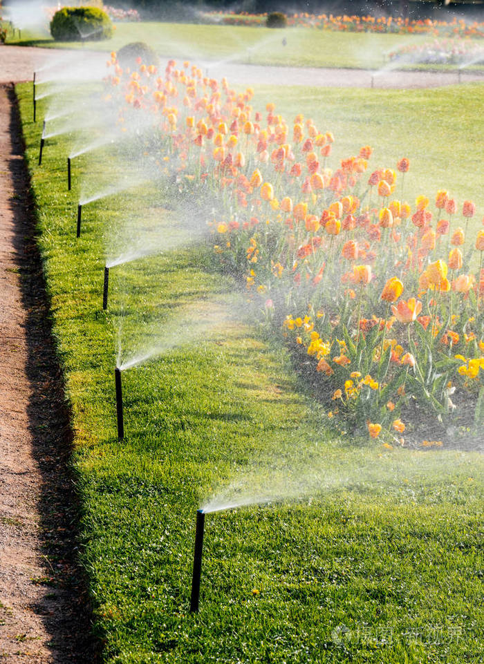 智能花园豪华公园与自动喷灌灌溉系统