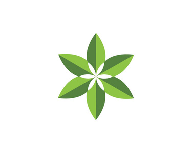 矢量树叶的绿色自然标志和符号
