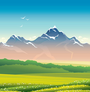 山的夏日草地夏日风景-山, 草地, 草甸照片