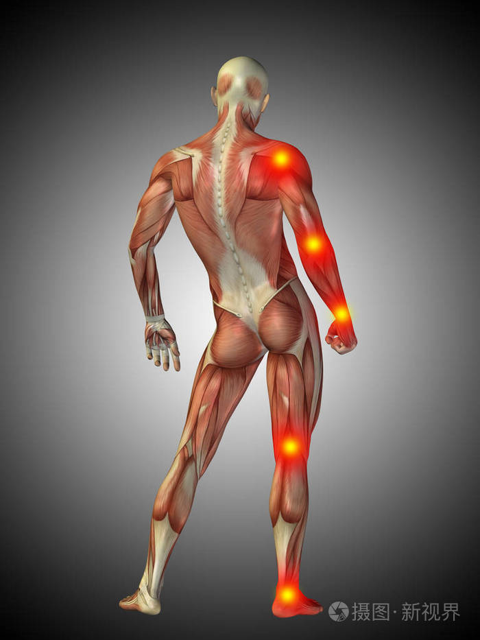 人体解剖学与痛苦迹象