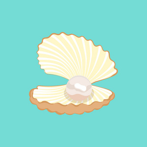 打开的卡通贝壳图片