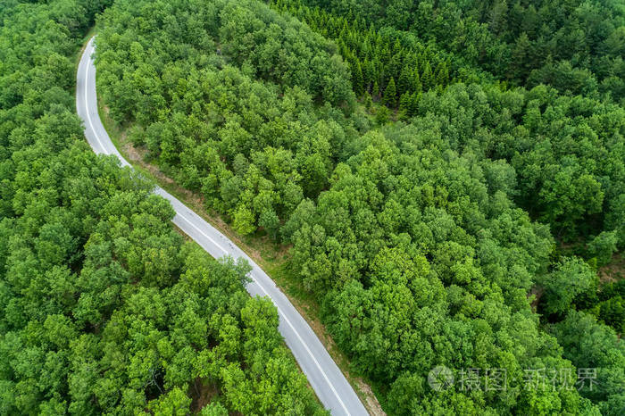 省道穿过一片森林的鸟瞰图