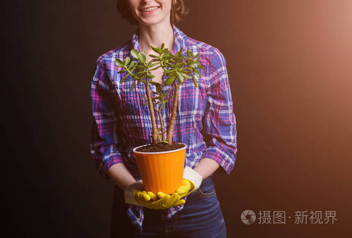 女人的手移栽植物入新锅