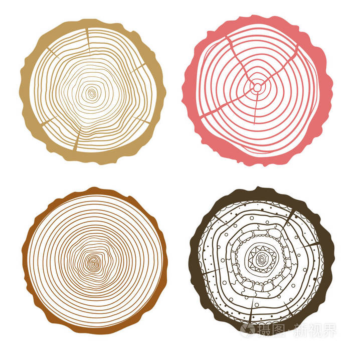 树的年轮.组的截面插画-正版商用图片1rxm86-摄图新视界