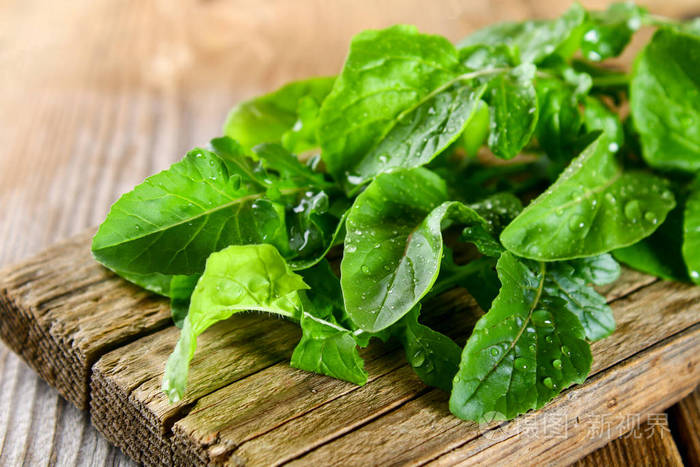 新鲜的绿色家芝麻叶rucola沙拉