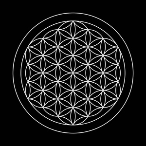 生命之河生命之花图形符号照片