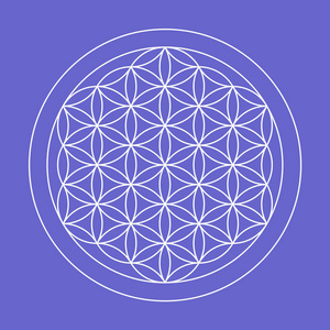 生命之河生命之花图形符号照片