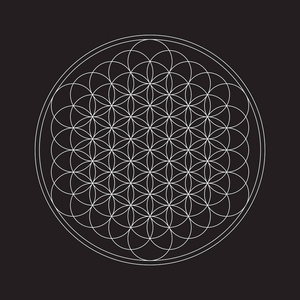 生命之河生命之花图形符号照片