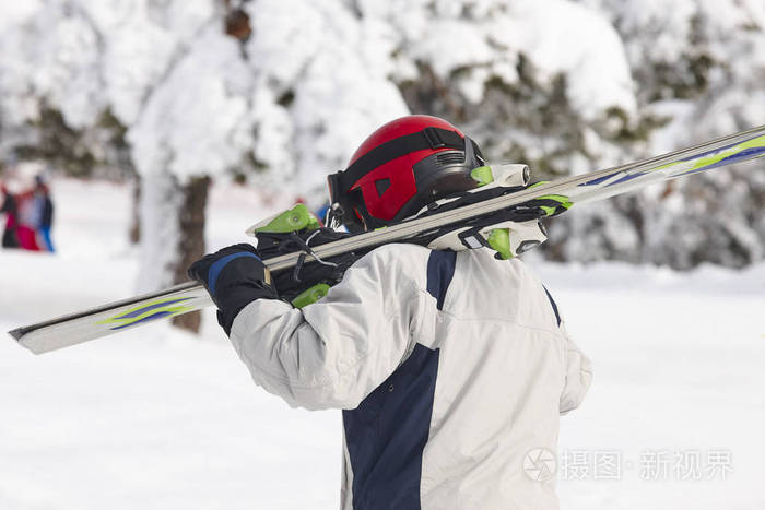 滑雪者在下雪的森林景观上搬运滑雪板。冬天