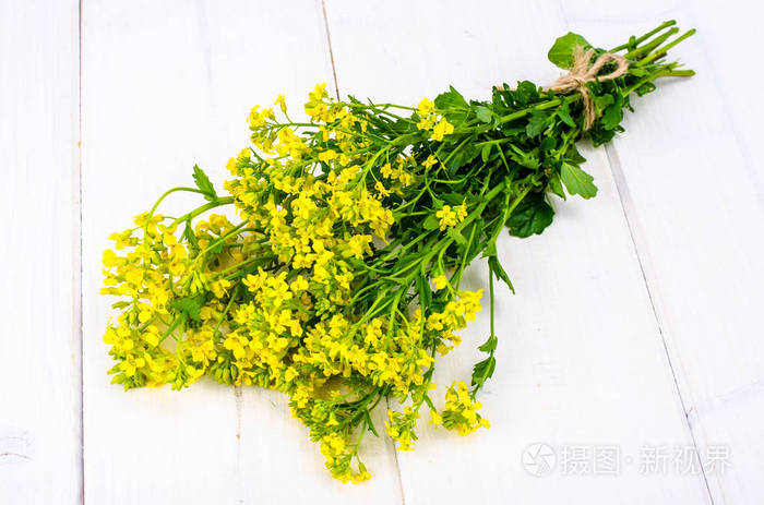 一束小黄花茎