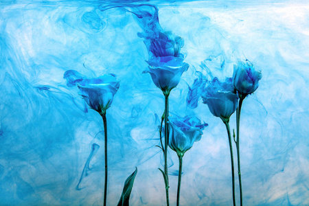 条纹的漆花水蓝色背景白色内漆丙烯酸玫瑰烟雾条纹照片