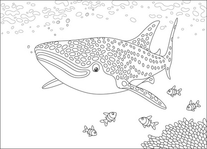 黑白鱼图片-黑白鱼素材-黑白鱼插画-摄图新视界