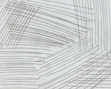 白纸上用铅笔制作的黑色线条照片