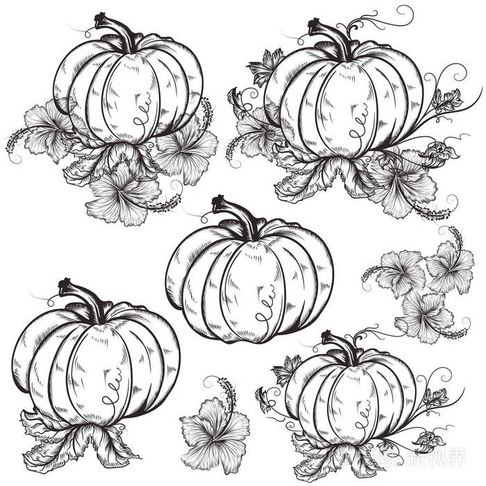 设计矢量手绘南瓜套装