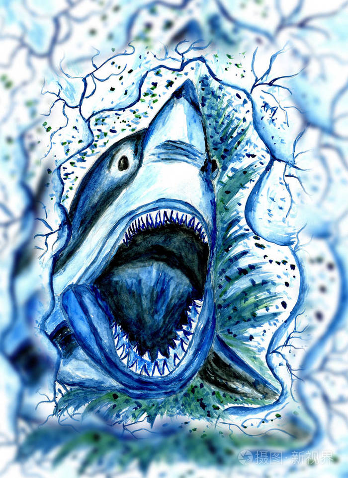 饥饿的鲨鱼图画
