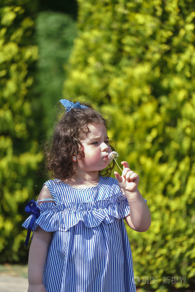 小小美丽的卷发女孩吹着蒲公英
