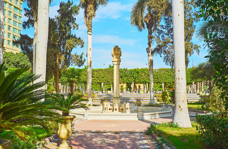 珊瑚礁和热带鱼国讯红海埃及珊瑚礁和热带鱼国讯红海埃及墨西哥古埃及