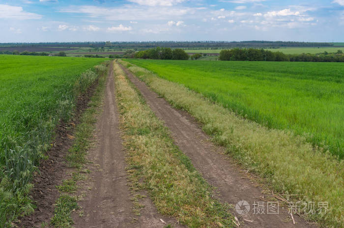 乌克兰中部dnipro市附近的农田间有土路的春季景观