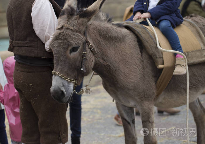驴子骑在城市周围