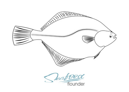 比目鱼图标图片-比目鱼图标素材-比目鱼图标插画-摄图新视界